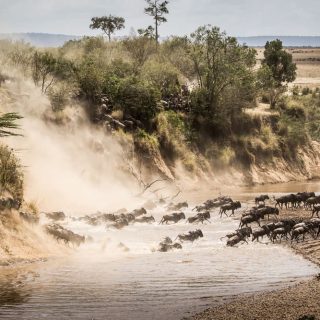 2-Day Fly from Dar Es Salaam-Tarangire & Manyara Safari