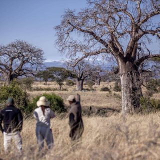 1NIGHT/2DAYS - NGORONGORO CRATER & TARANGIRE NP (Private Safari & Sharing jeep safari)